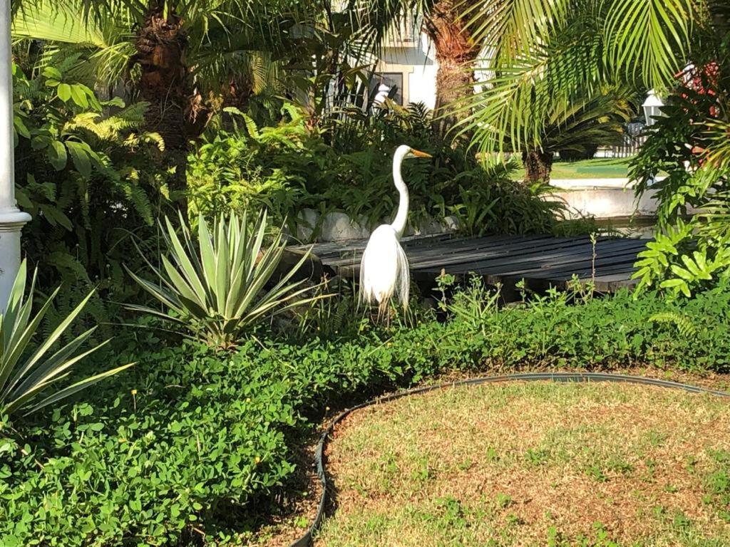 Apartamento Wembley Tenis - Toninhas - Ubatuba Εξωτερικό φωτογραφία
